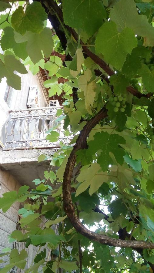 Elco Ξενοδοχείο Zugdidi Εξωτερικό φωτογραφία